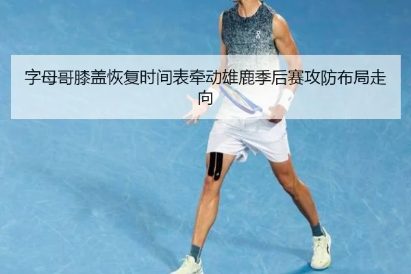 字母哥膝盖恢复时间表牵动雄鹿季后赛攻防布局走向