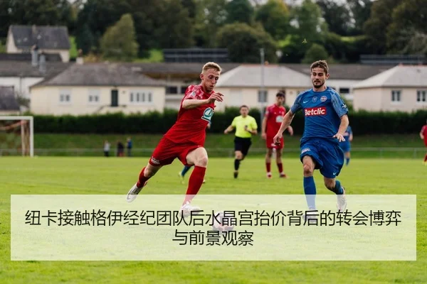 纽卡接触格伊经纪团队后水晶宫抬价背后的转会博弈与前景观察