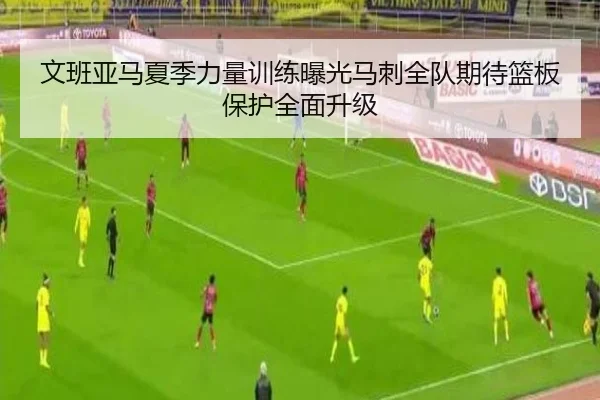 文班亚马夏季力量训练曝光马刺全队期待篮板保护全面升级